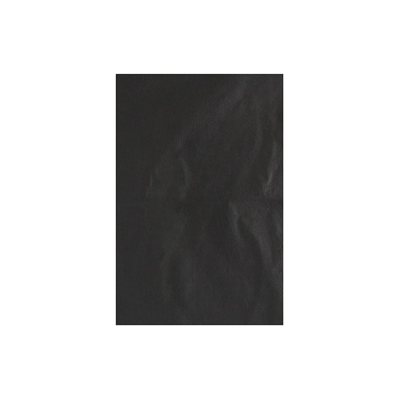 不織布インナーバッグ　２０－３０　ブラック画像