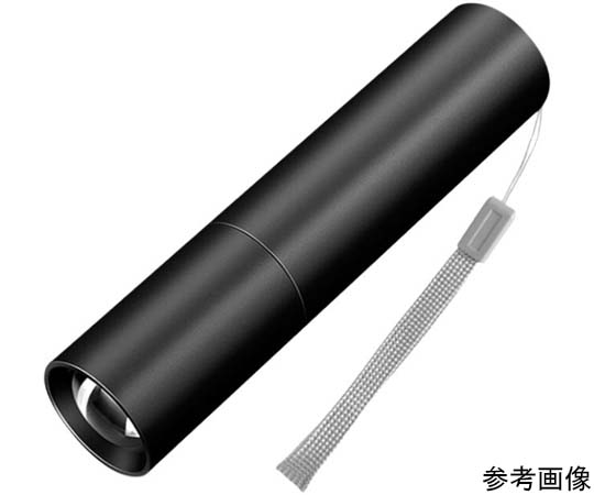 充電式LED懐中電灯 ストラップ付 M画像