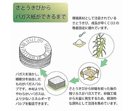 紙皿 バガスペーパーウェア 業務用 どんぶり850ml C850 ND170 50枚 白い紙皿が重ねられた状態で、側面にエコ素材の特徴が示されている。