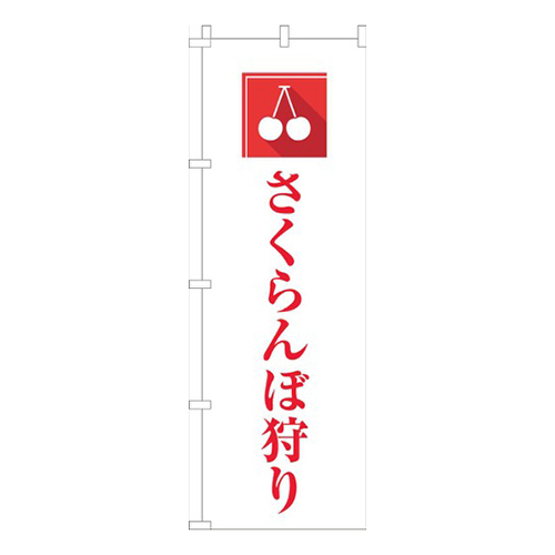 さくらんぼ狩り文字赤画像