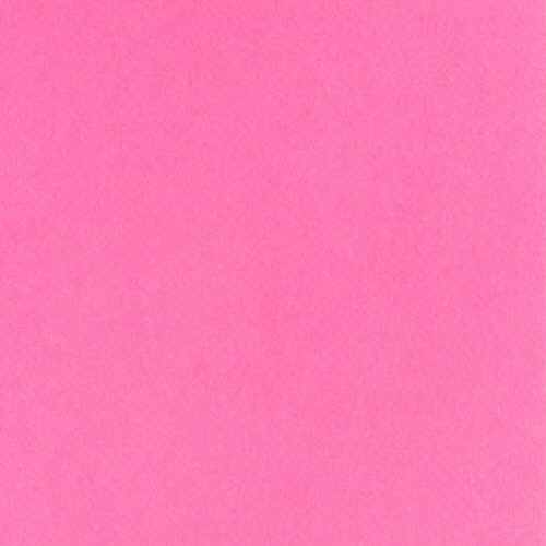 ﾆｭｰｶﾗｰR 八つ切 こいもも 1ﾊﾟｯｸ(100枚)画像