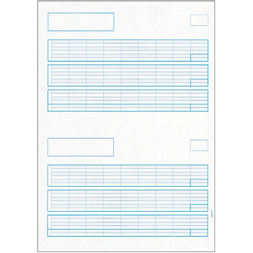 給与明細書A 罫線あり 1箱(500枚)画像