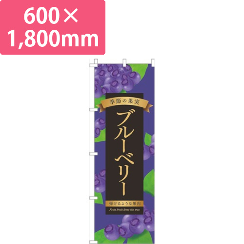 ブルーベリー紫画像