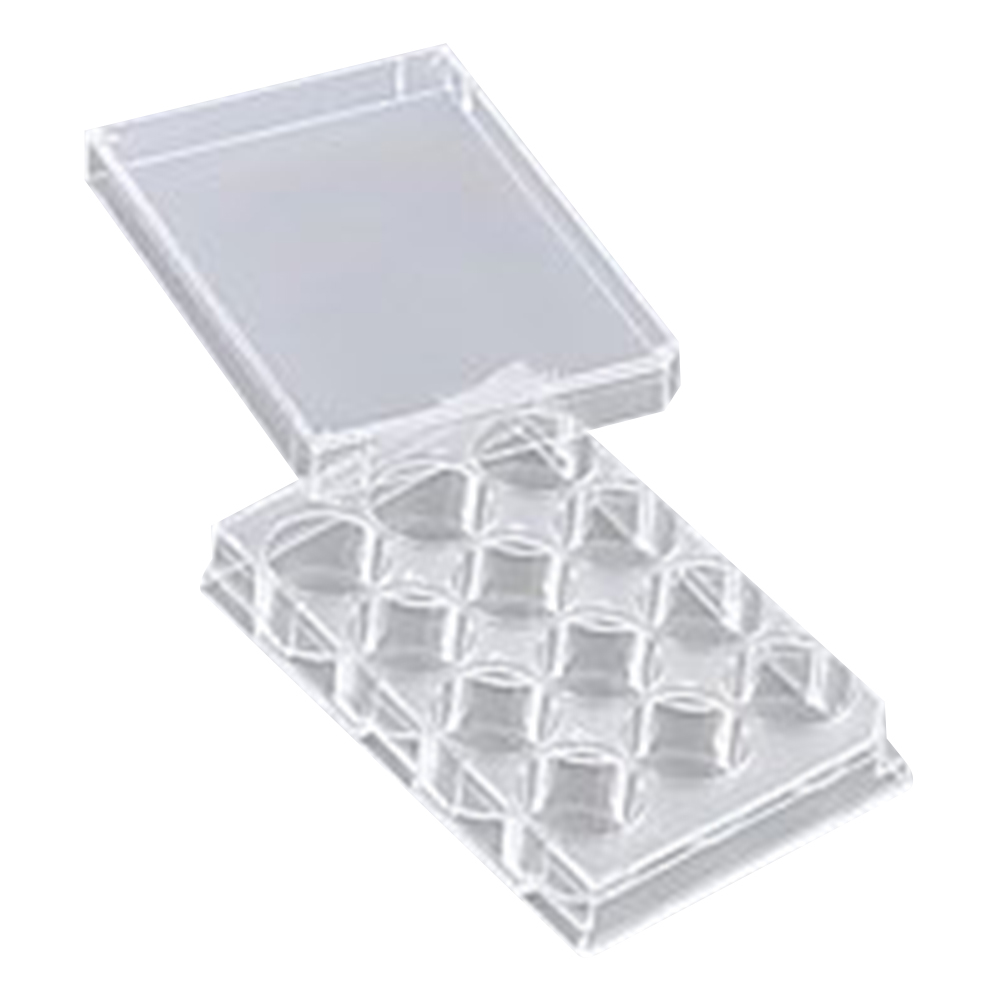 12穴プレート　平底　　カバー付　滅菌済　60枚入画像