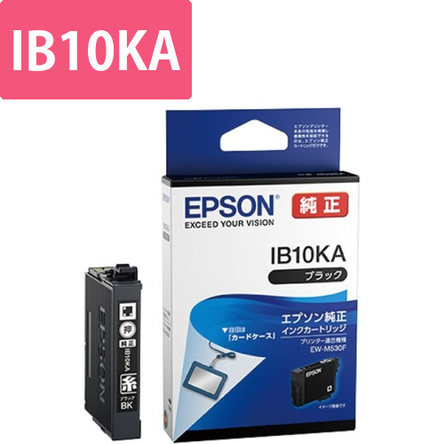 純正インクカートリッジ　IB10KA　ブラック画像