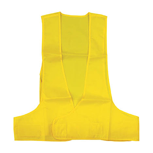 つくし ｶﾗｰﾍﾞｽﾄ ｲｴﾛｰ 1着画像