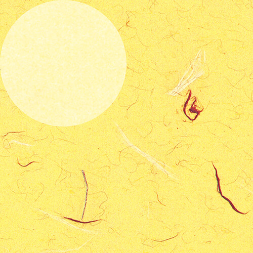 包装紙 半才 きはだ画像