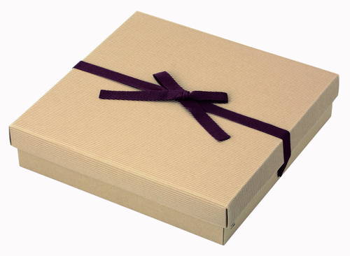 片段ギフトボックス リボン付き（320×327×高70mm）画像