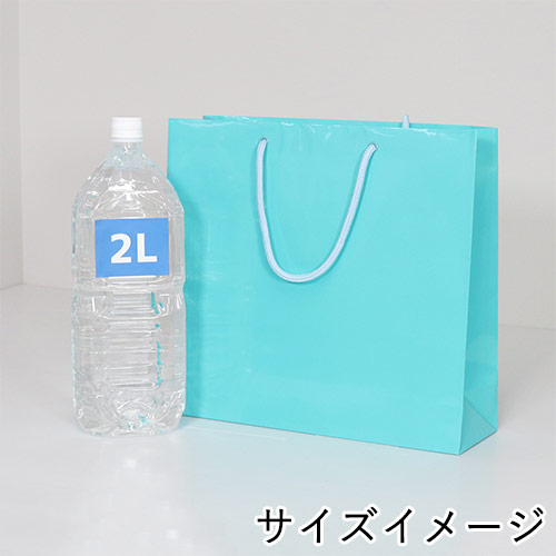 ツヤありPP加工！ライトブルーで持ち手紐付きの高級ギフトバッグ