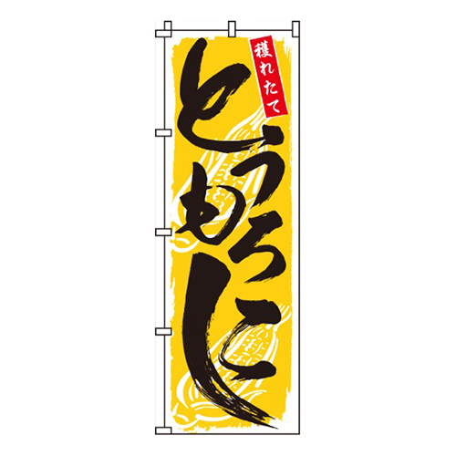 とうもろこし黄色・採れたて画像