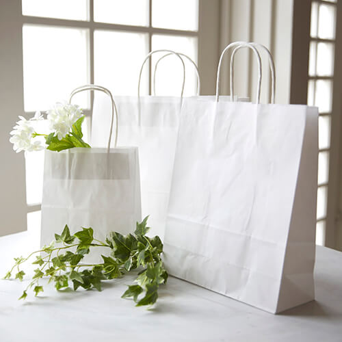 ギフト用や持ち帰りに！同シリーズ最大丈の大型手提げ紙袋