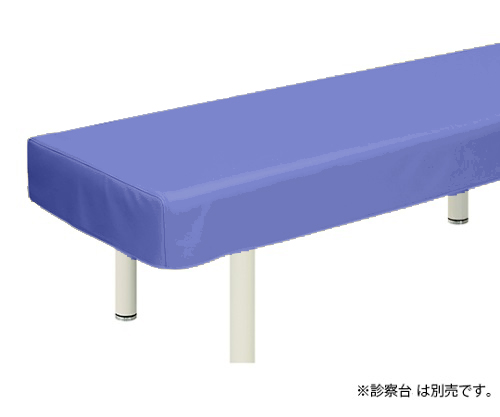 レザー製診察台カバー 幅60×長さ180cm ライトブルー画像