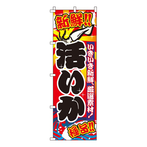 活いか（烏賊）画像