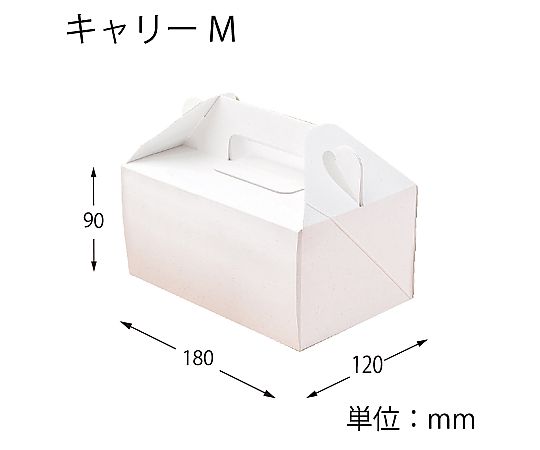 HEIKO エコパームボックス キャリーM 20枚 上面が見える形で並べられたボックスの状態