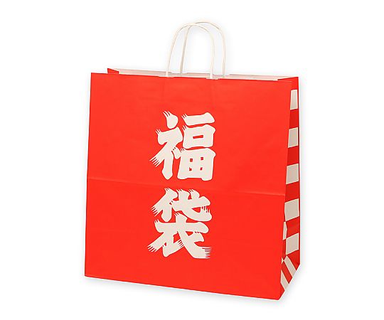 手提げ紙袋　25チャームバッグ　45-1　福袋　50枚画像