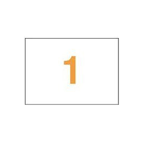 PPCﾀｯｸﾗﾍﾞﾙ A4判 297×210mm(ﾉｰｶｯﾄ) 1箱(100ｼｰﾄ)画像