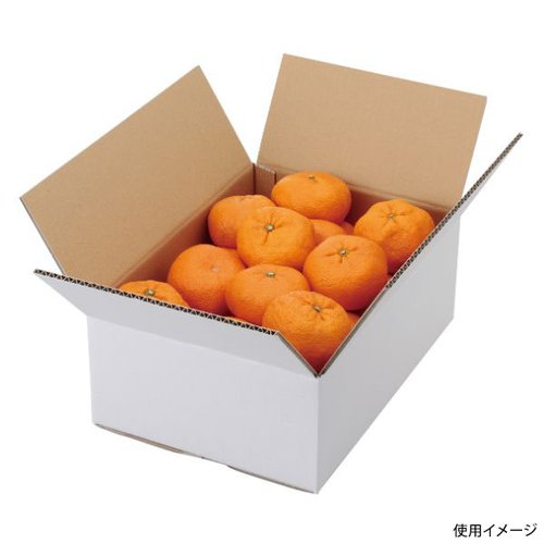 ギフト箱 L-2232 A式みかん白無地5㎏ ヤマニパッケージ画像