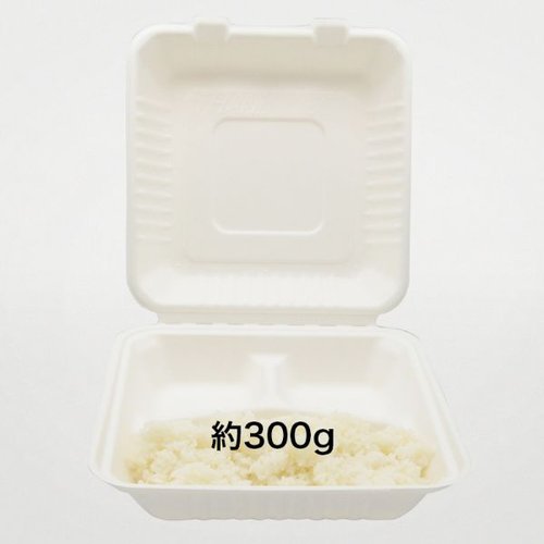 弁当容器 ABランチ230-230-3 パックスタイル 透明な容器に収められた料理が見える状態