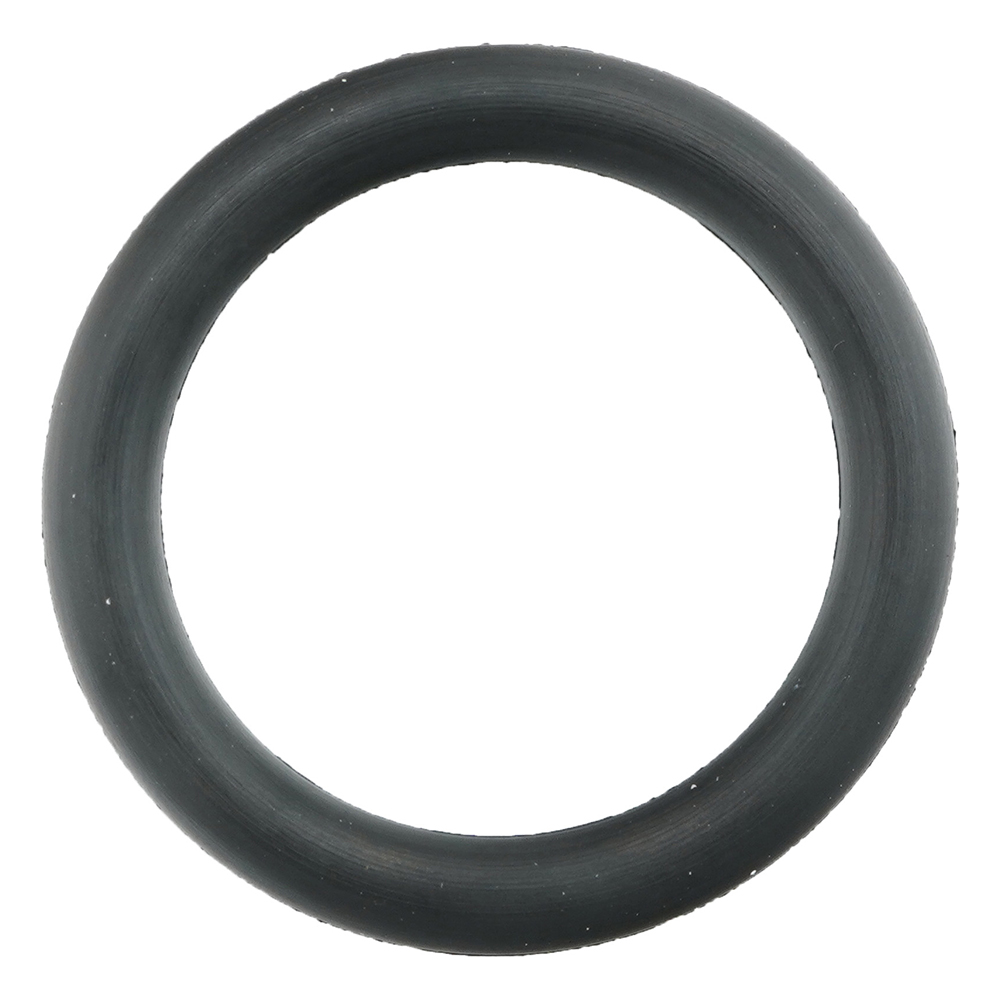 フッ素ゴムOリング（フロロプラス（TM））画像