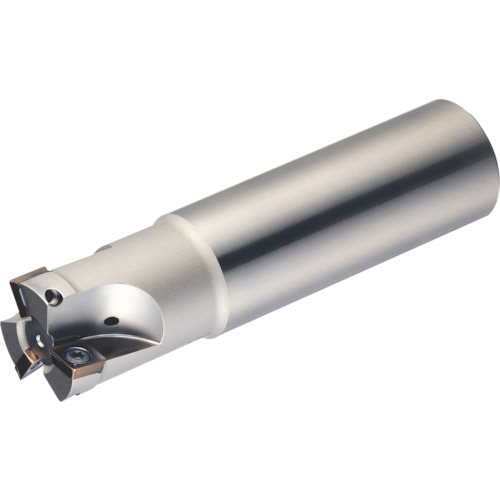 ｱﾙﾌｧｼｮﾙﾀﾞｰﾐﾙ 1本画像