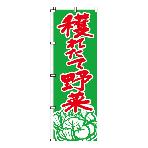 穫れたて野菜画像