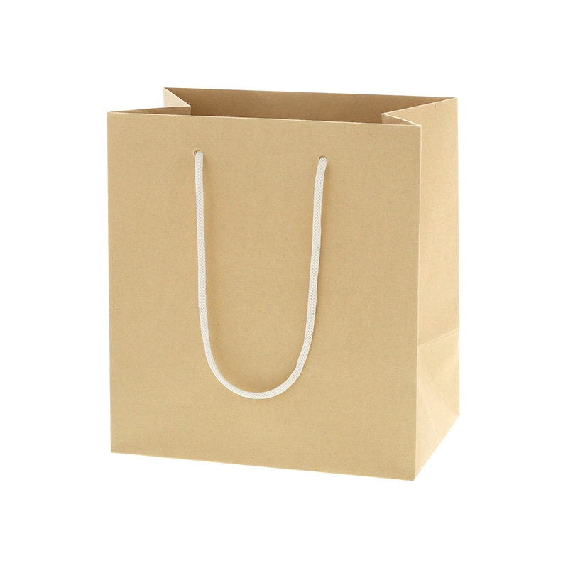 バンブーペーパーバッグ　２２－１４画像