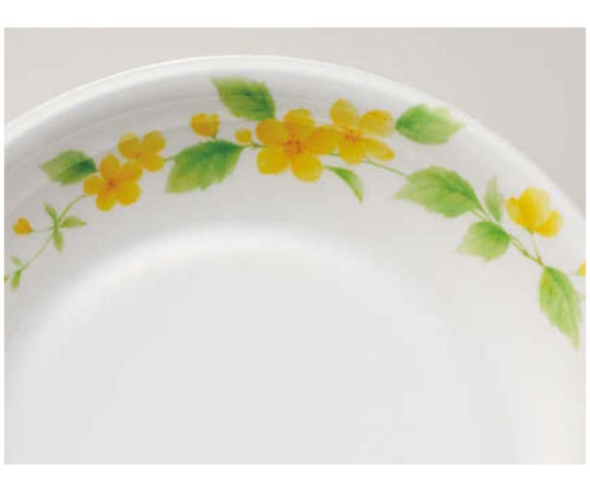 18cm 深皿 詩緒里 10個入 深皿が整然とパッケージされた状態