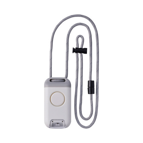 ポタラ　シロ画像