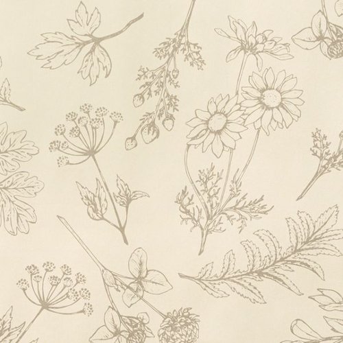 ベルプランツ包装紙-1(全紙)(50枚) ヘッズ画像