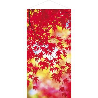 しだれもみじタペストリー（防炎加工）画像