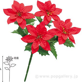 ポインセチアブッシュ画像