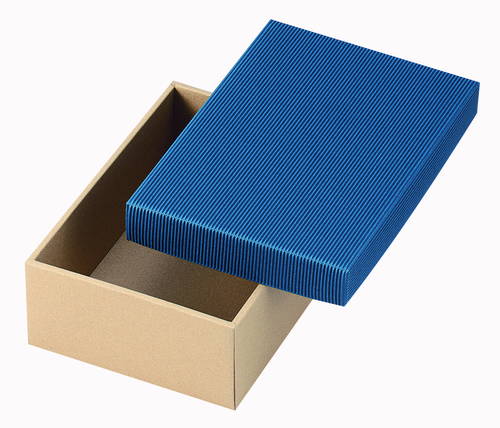 片段カラーギフトＢＯＸ　大（青）画像