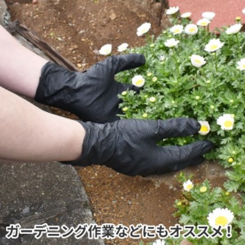 アストロプロダクツ ニトリルグローブＬブラック（５０枚入） 箱の正面が見える状態で黒いニトリル手袋が数枚取り出されて重なっている様子