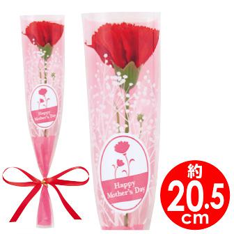 カーネーションかすみリボンラップ（小）画像