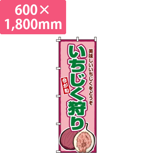 いちじく狩り画像
