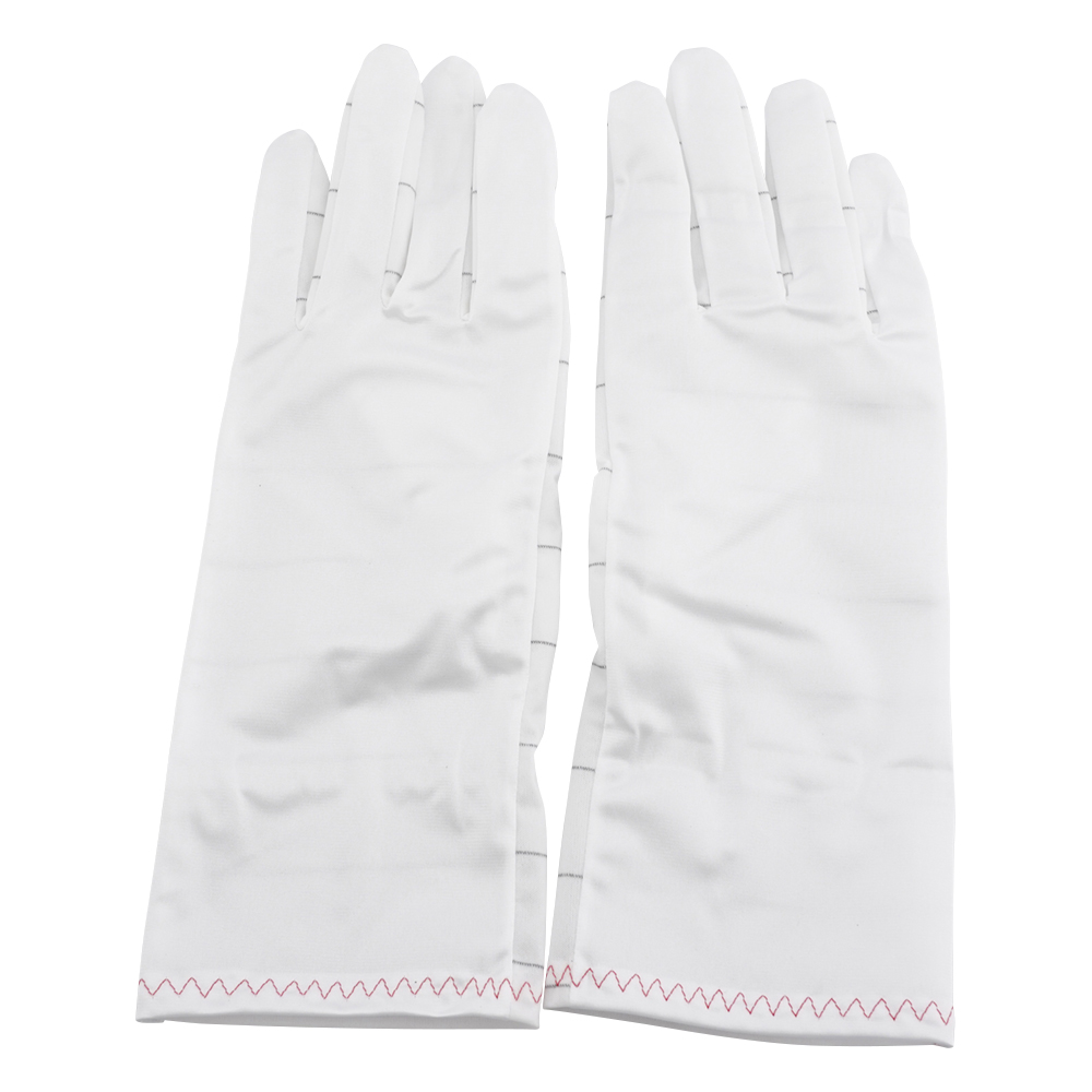 無塵手袋　L　10双入画像