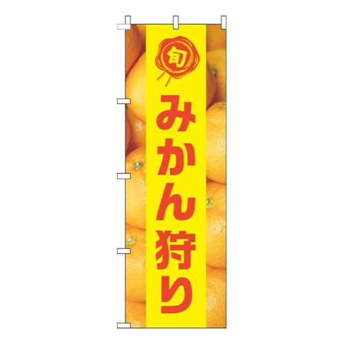 みかん狩り写真黄色帯画像