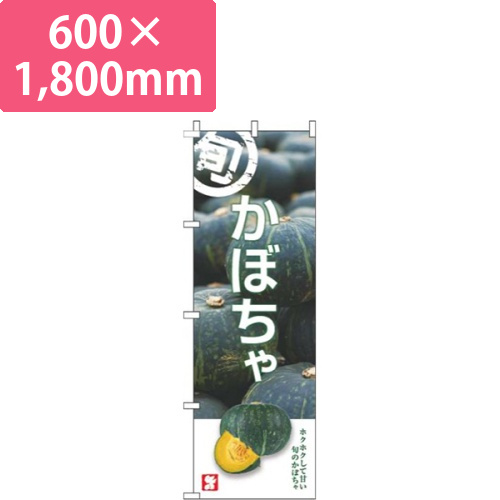 かぼちゃ旬写真画像