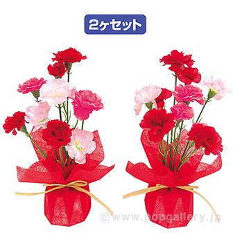 カーネーションペアラッピング画像