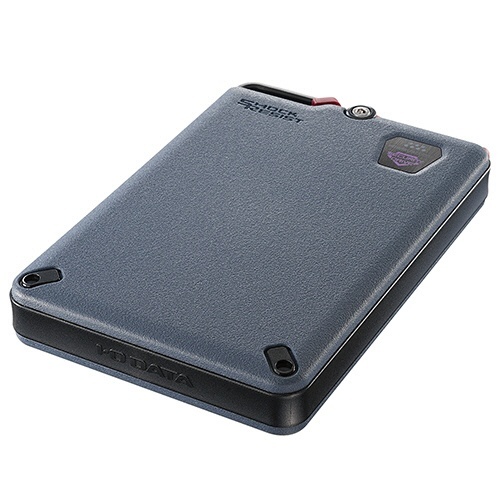 BizDAS　5Gbps(USB3.2Gen1)ハードウェア暗号化&耐衝撃ポータブルHDD　1TB　グレー　1台