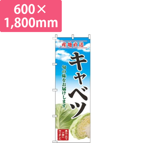 キャベツ青空明画像