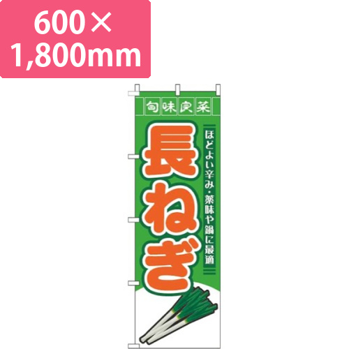 長ねぎ旬味良菜緑画像