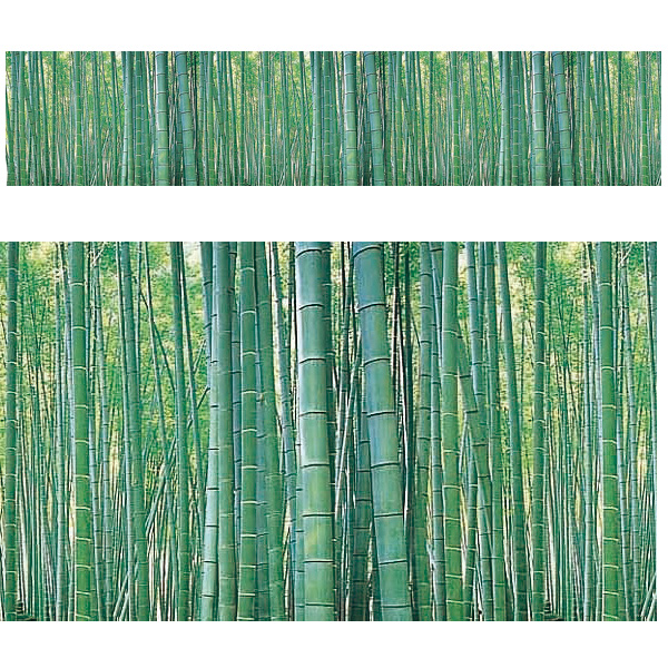 ビニール幕 竹（写真）画像