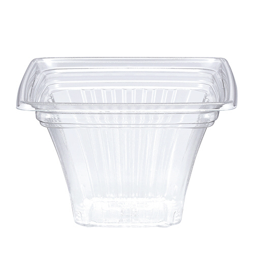 C-APﾄﾞﾙﾁｪ 100-65 身 1ﾊﾟｯｸ(50枚)