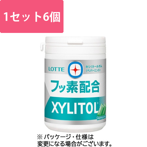 キシリトールガム+フッ素(ペパーミント)スリムボトル　125g/個　1セット(6個)画像