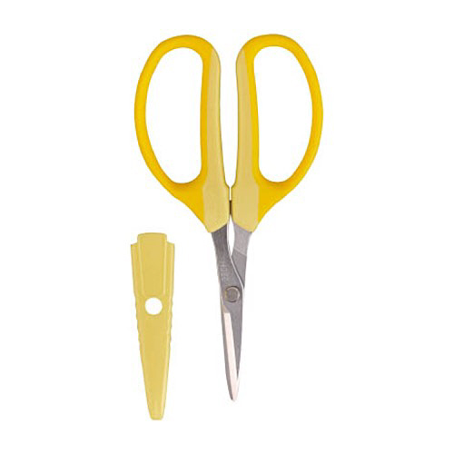 ｱﾙｽ ｸﾗﾌﾄﾁｮｷ(生花･ｱﾚﾝｼﾞﾒﾝﾄ用) 1個画像