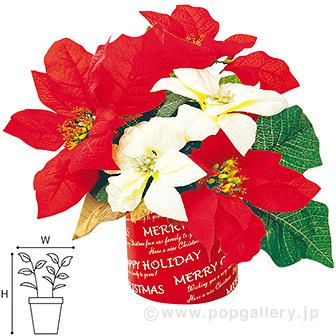 ミックスポインセチアスタンド画像