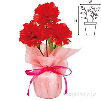 カーネーションラッピングポット画像