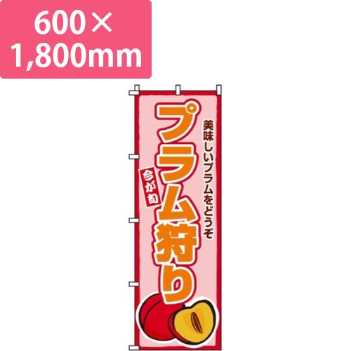 プラム狩り画像