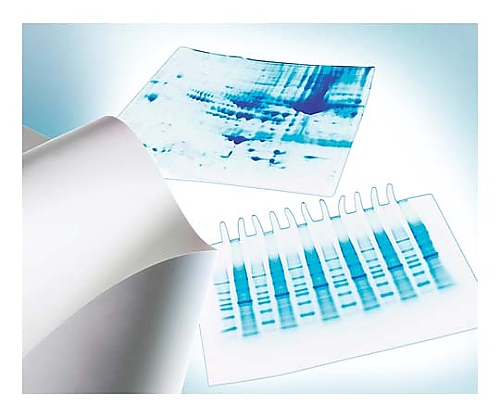 Immobilon-P PVDF 0.45μm 26.5cmx3.75m roll 1/Pk 1PK画像